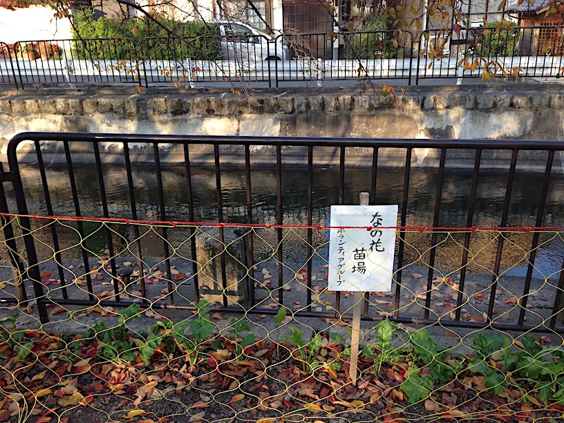 Sample photo IMG_2889