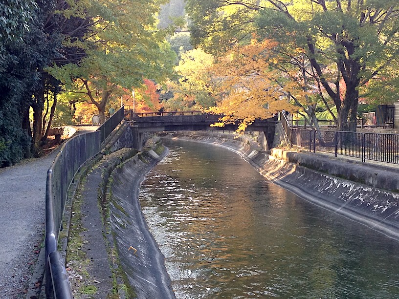 Sample photo IMG_2892